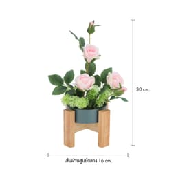 ต้นไม้ในกระถาง+ขาตั้ง รุ่นโสมไทยใบด่าง - สีเขียว