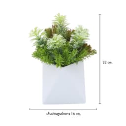 ต้นไม้ในกระถาง รุ่นไฮดริลลา - สีเขียว/ขาว